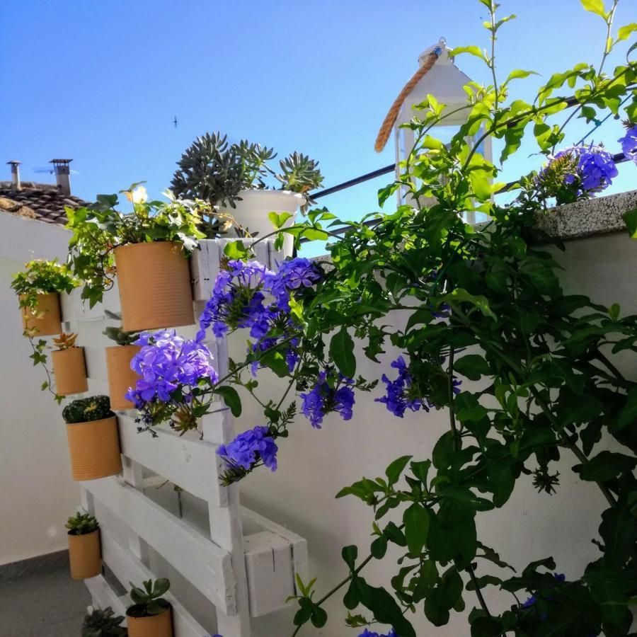 B&B Porta Girone Civitanova Alta Extérieur photo